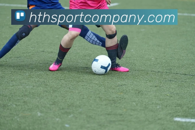 华体会足球平台生态图